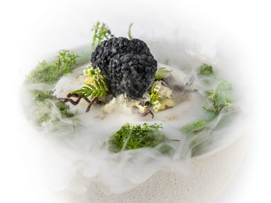 Truffle Mold Large