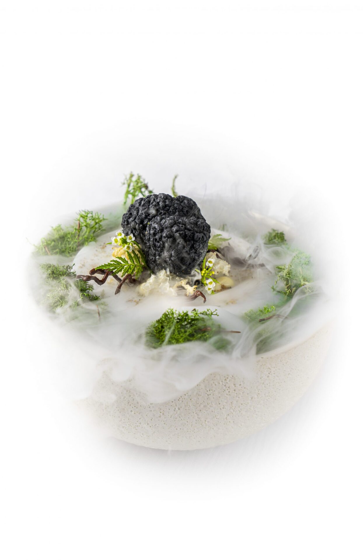 Truffle Mold Large