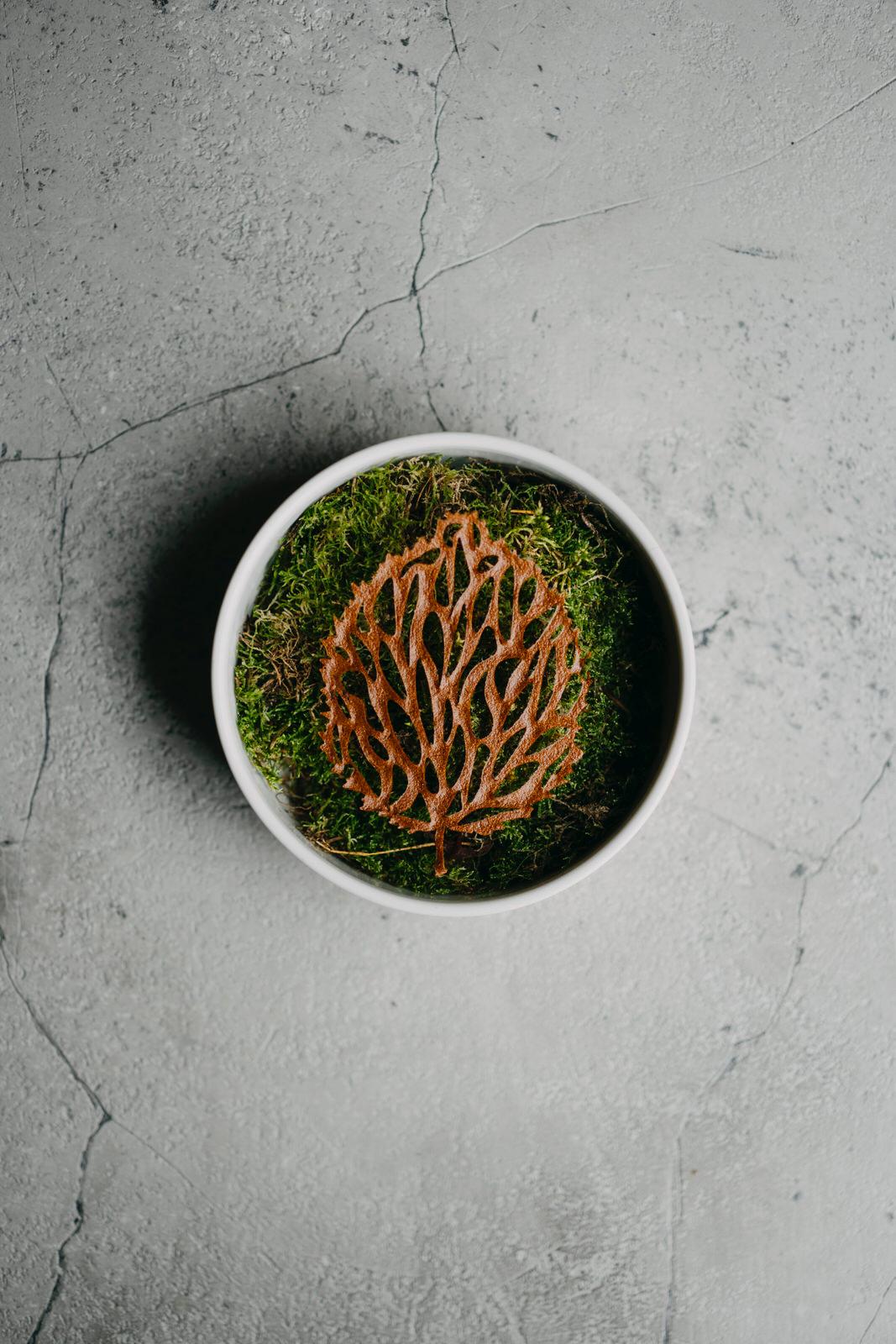 Hoja de avellano Mold - 1 ud.