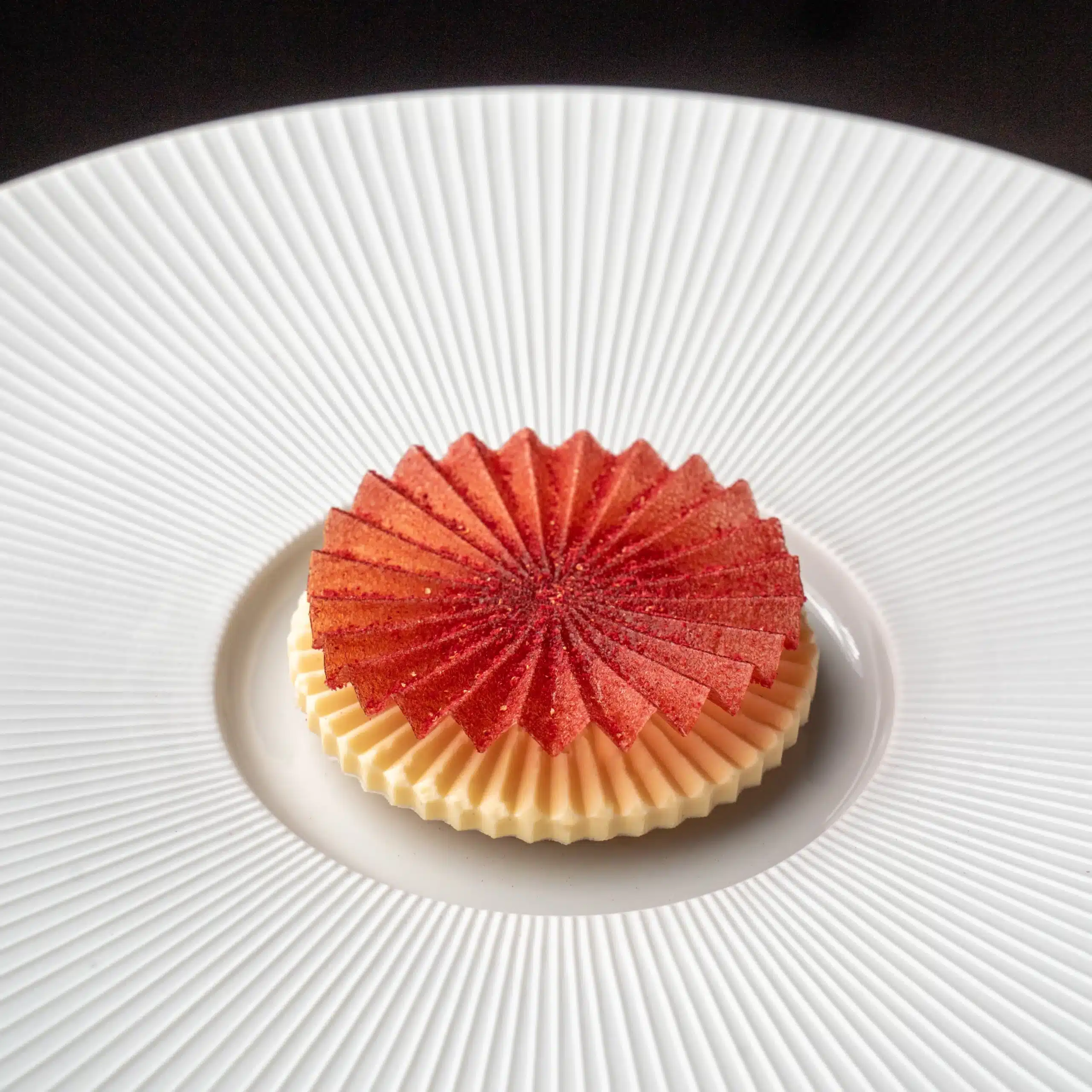 Geometric Disc Mold
