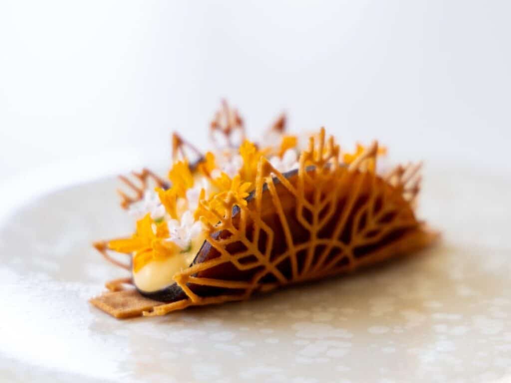 Taco Tuille Mold