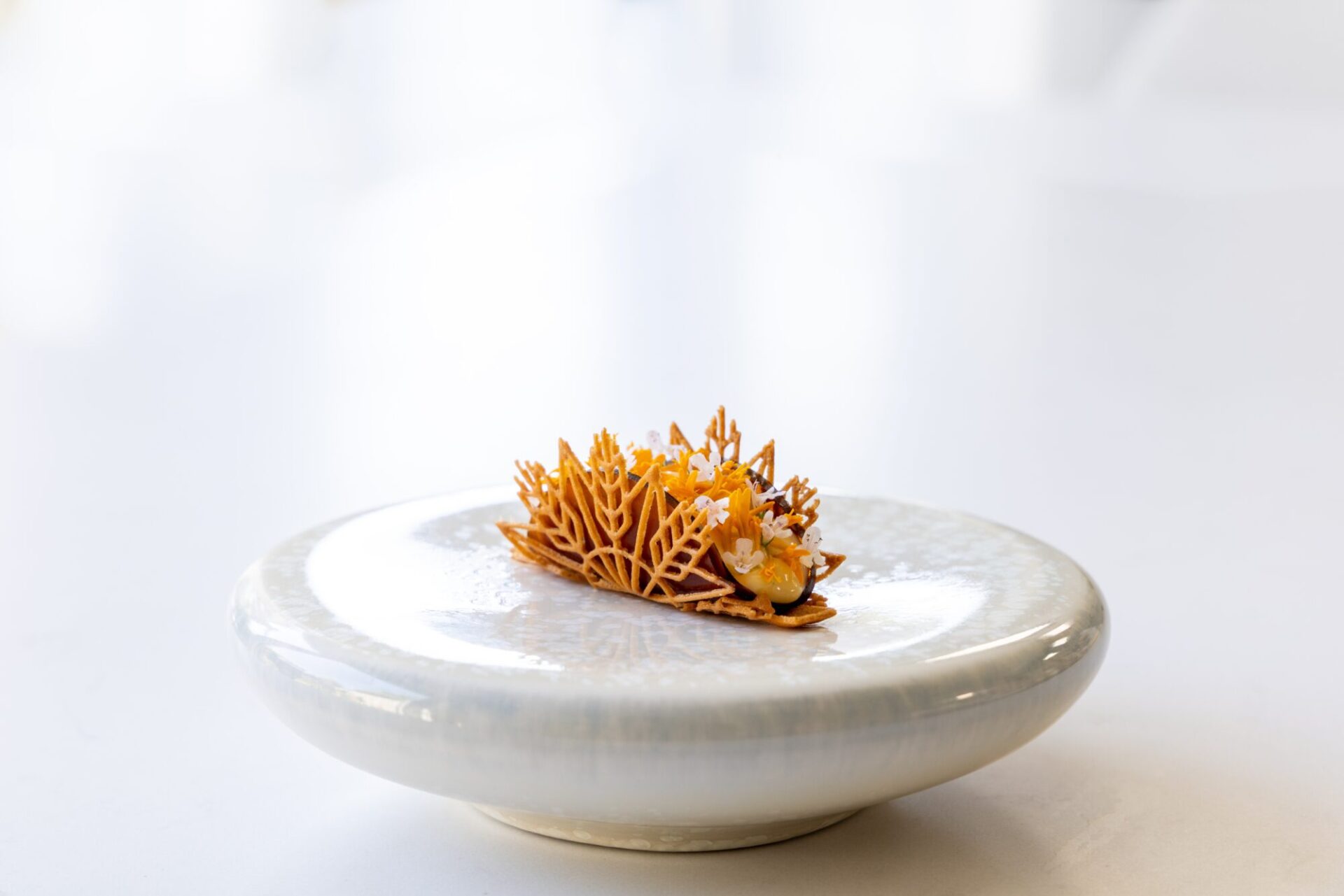 Taco Tuille Mold