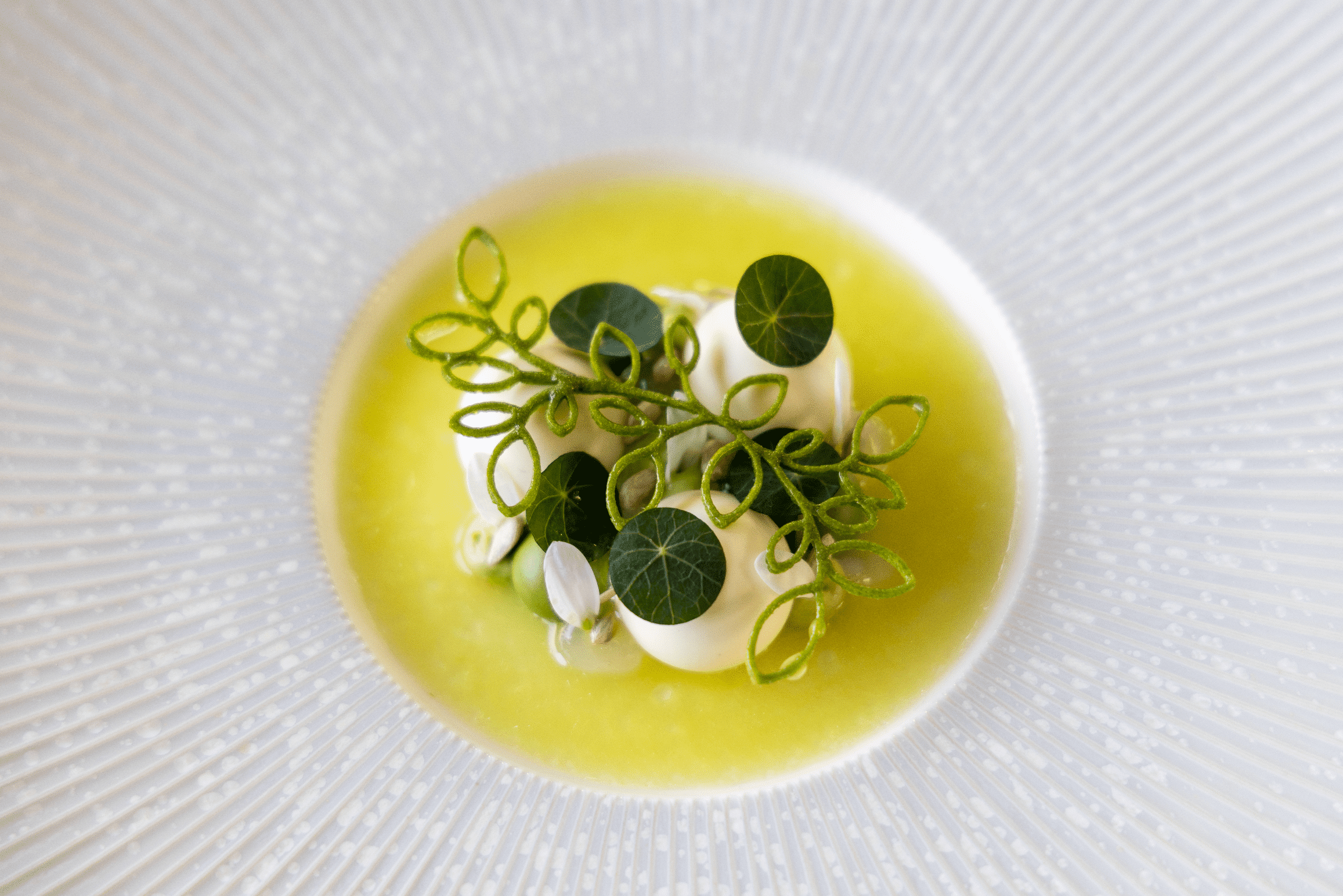 Sprout Tuille Mold