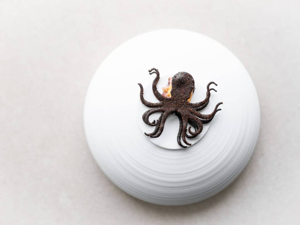 オクトパス・テュイル Mold