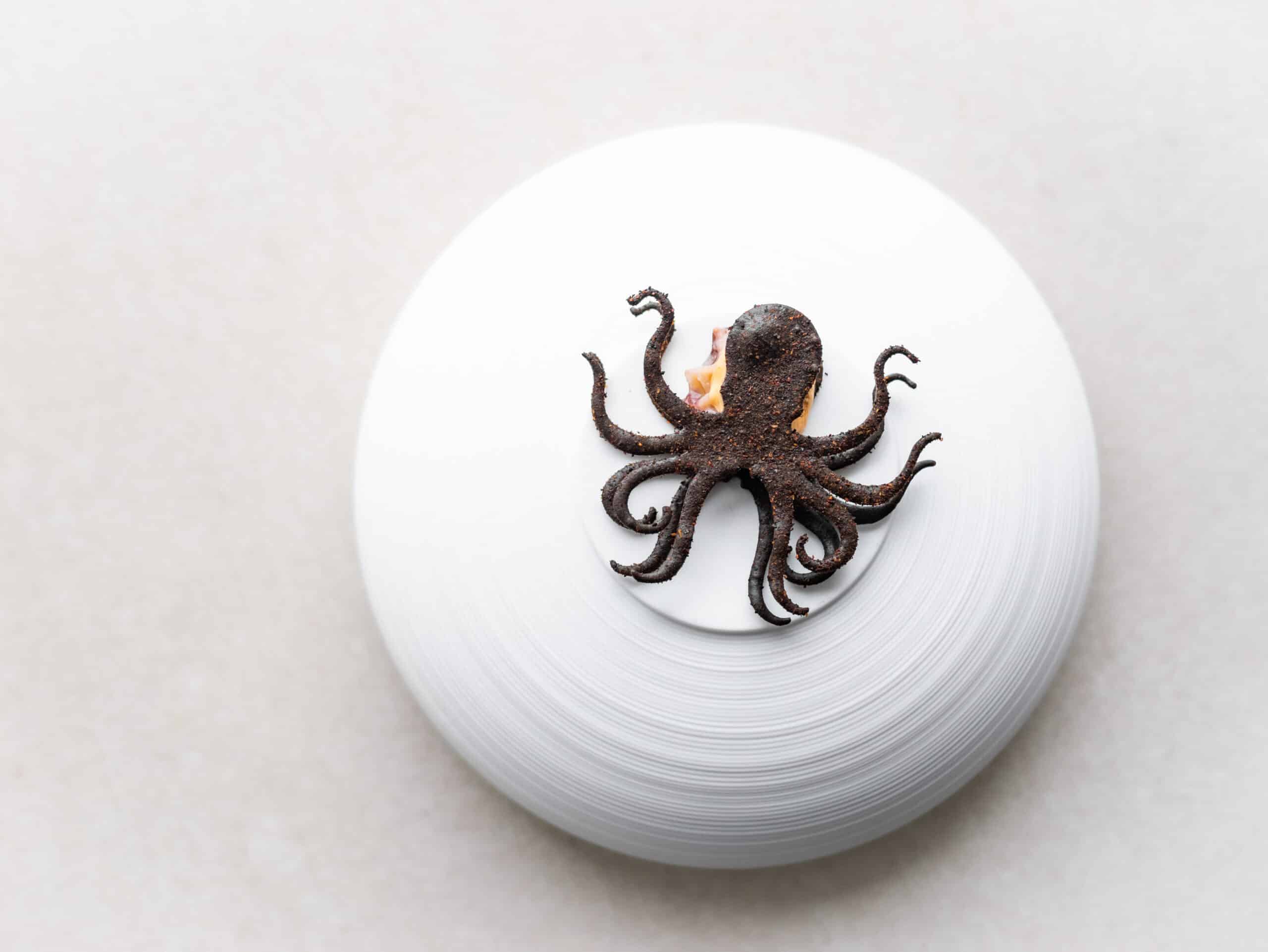 Pulpo Tuille Mold