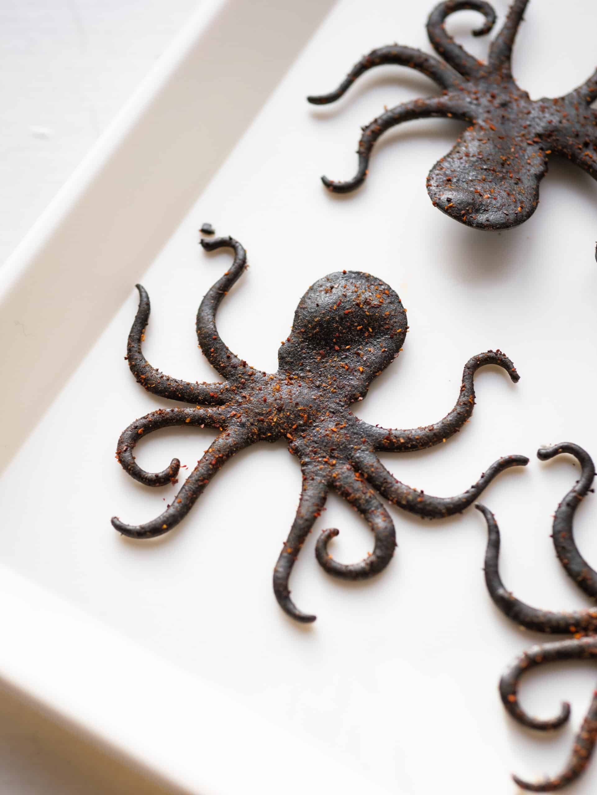 Pulpo Tuille Mold