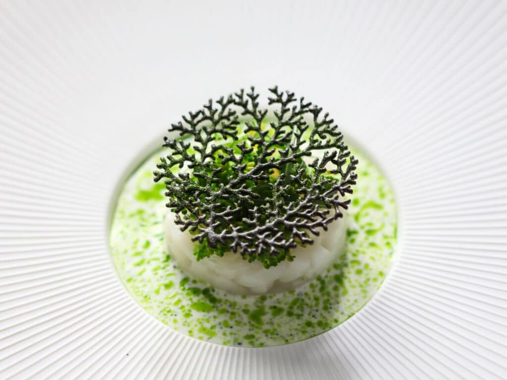 Coral Tuille Mold