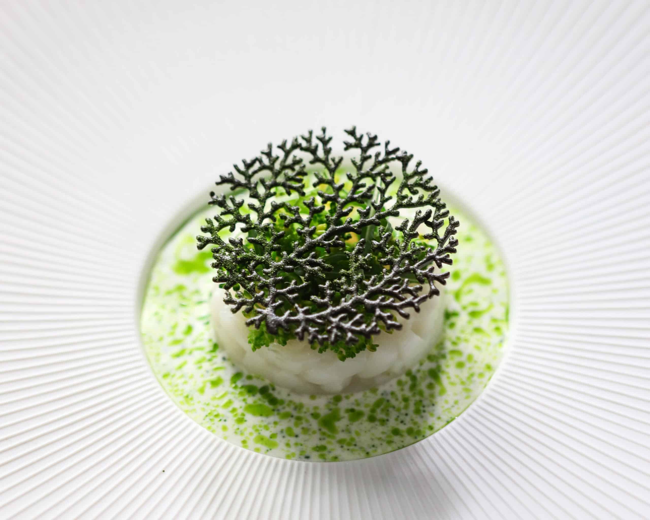 Coral Tuille Mold