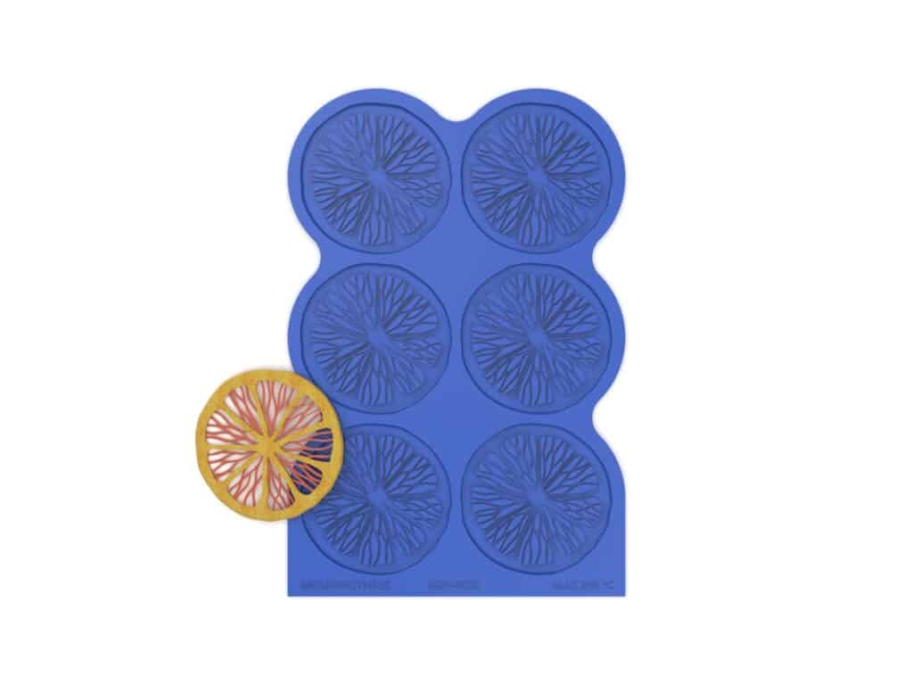Realistic Citrus Tuille Mold