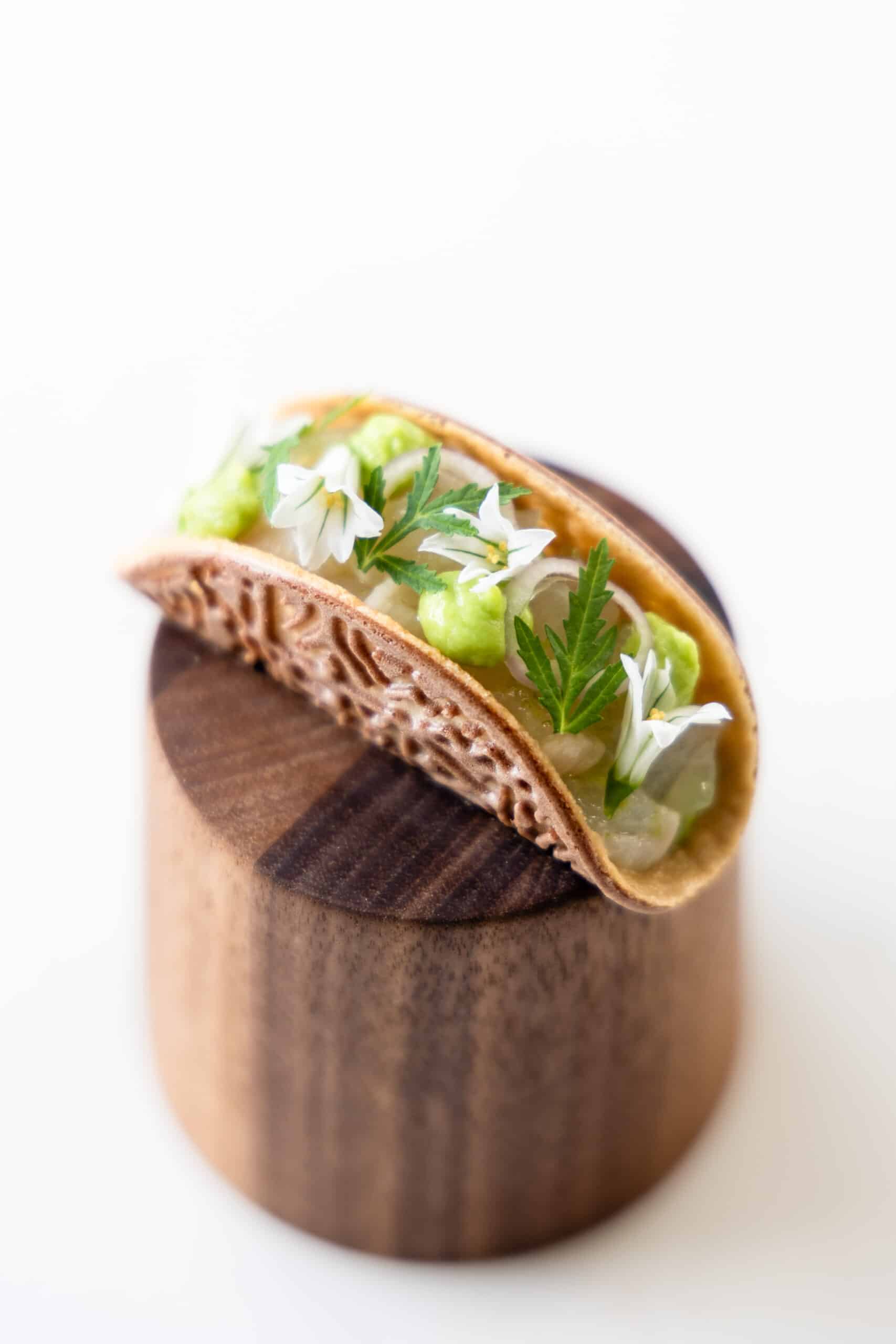 Linea Taco Tuille Mold