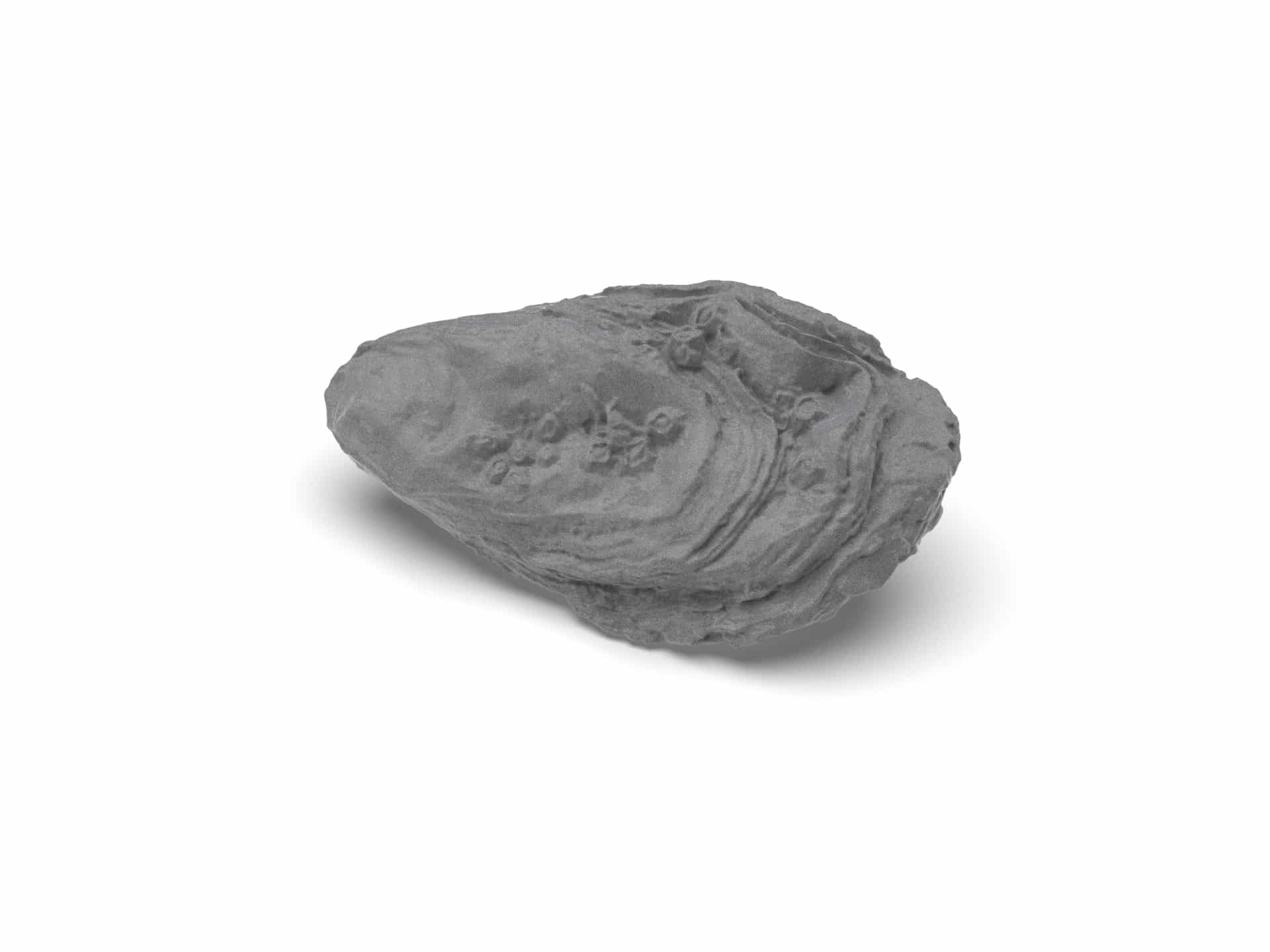 Oyster Lid Mold