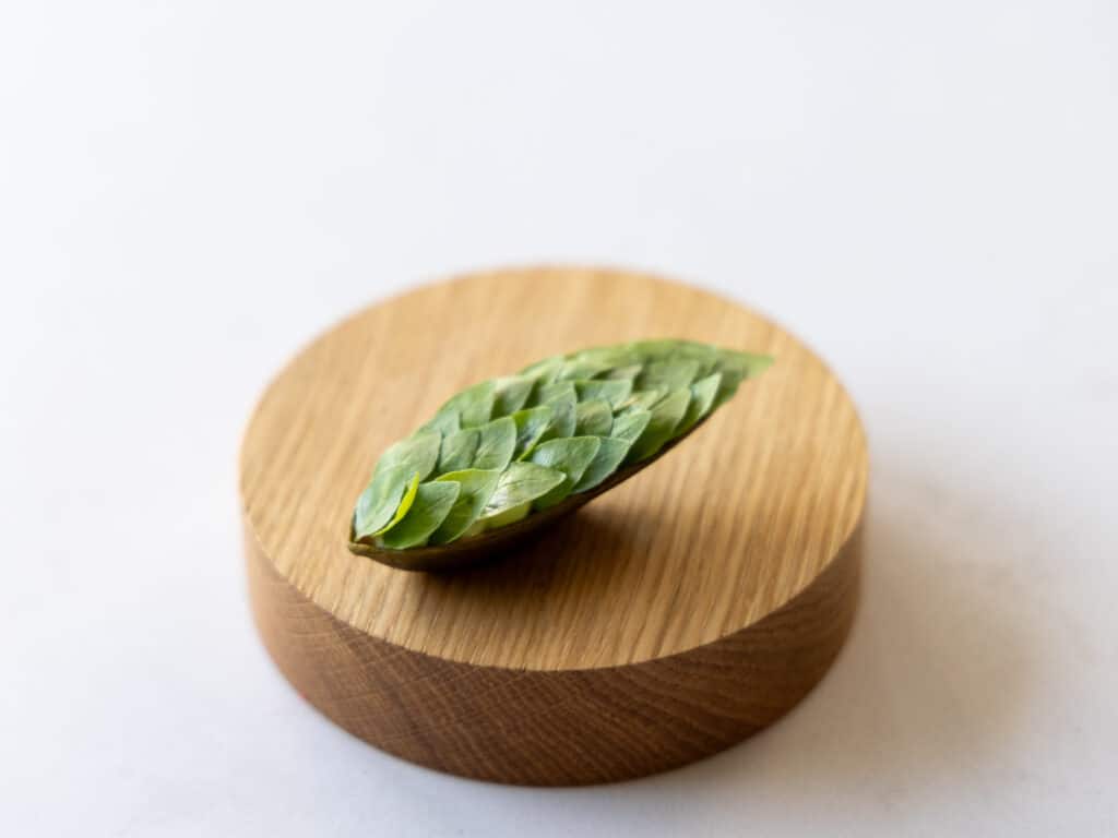 Tartelette ovale Mold