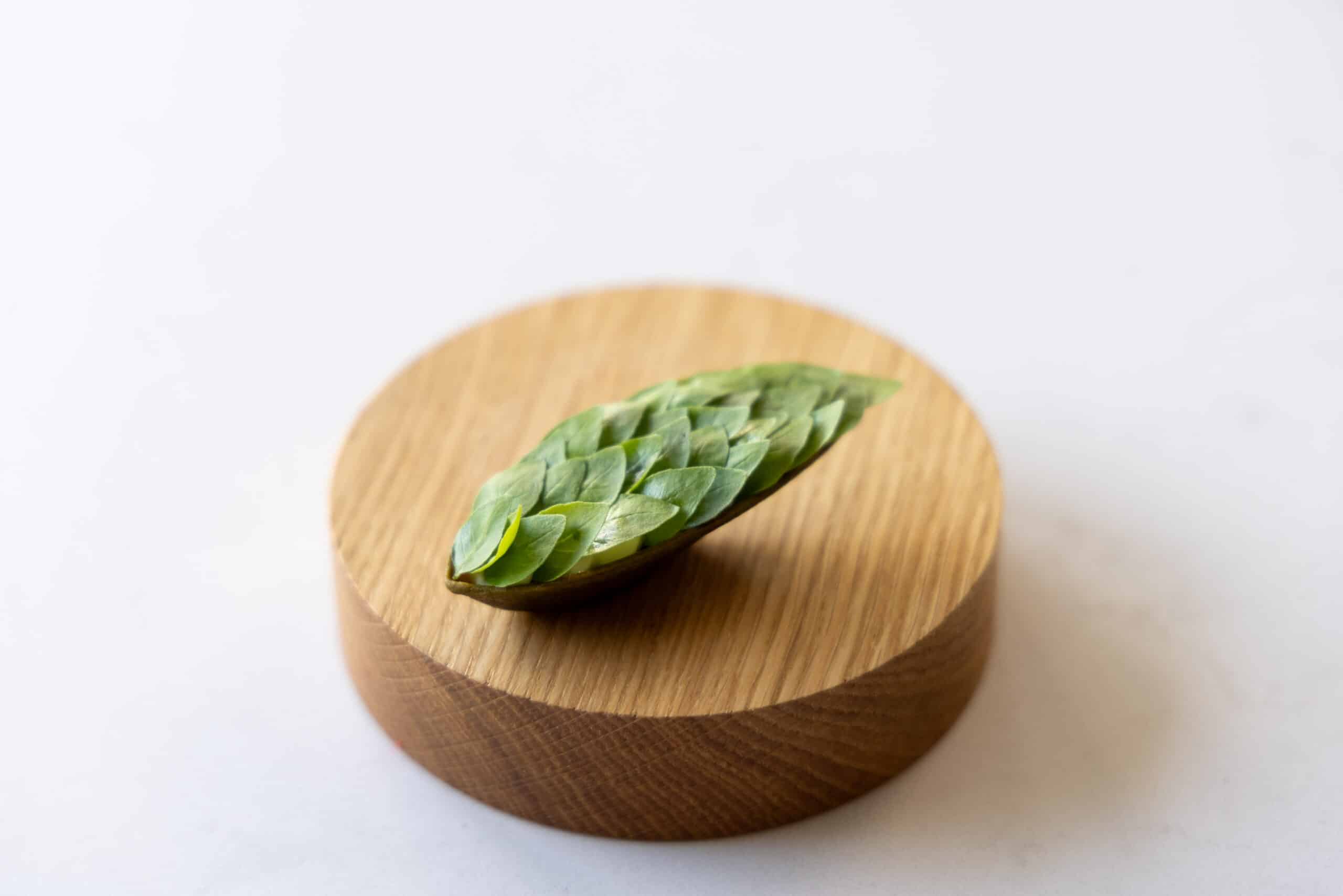 Tartelette ovale Mold