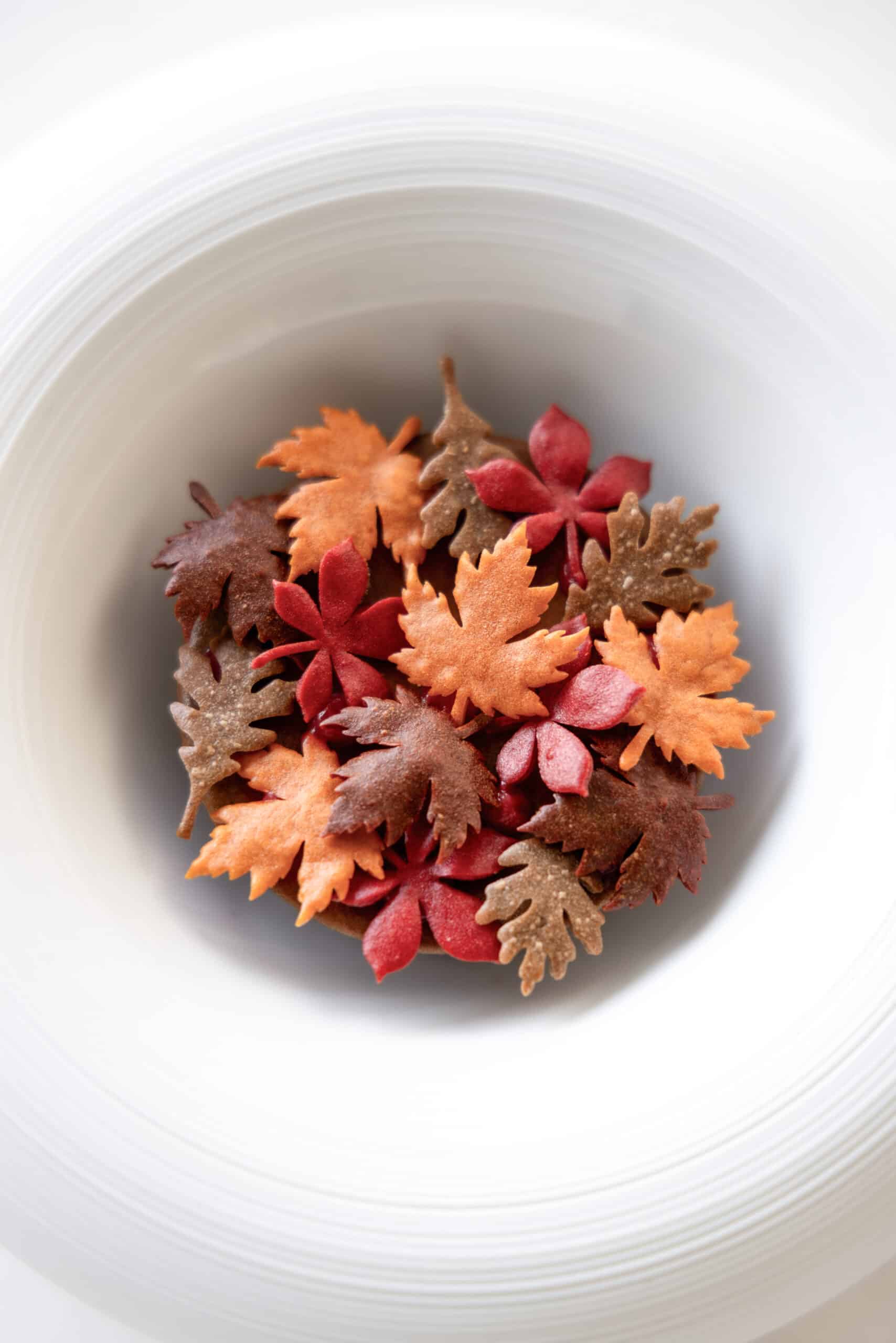 Mini Leaf Tuille Sheet Molds