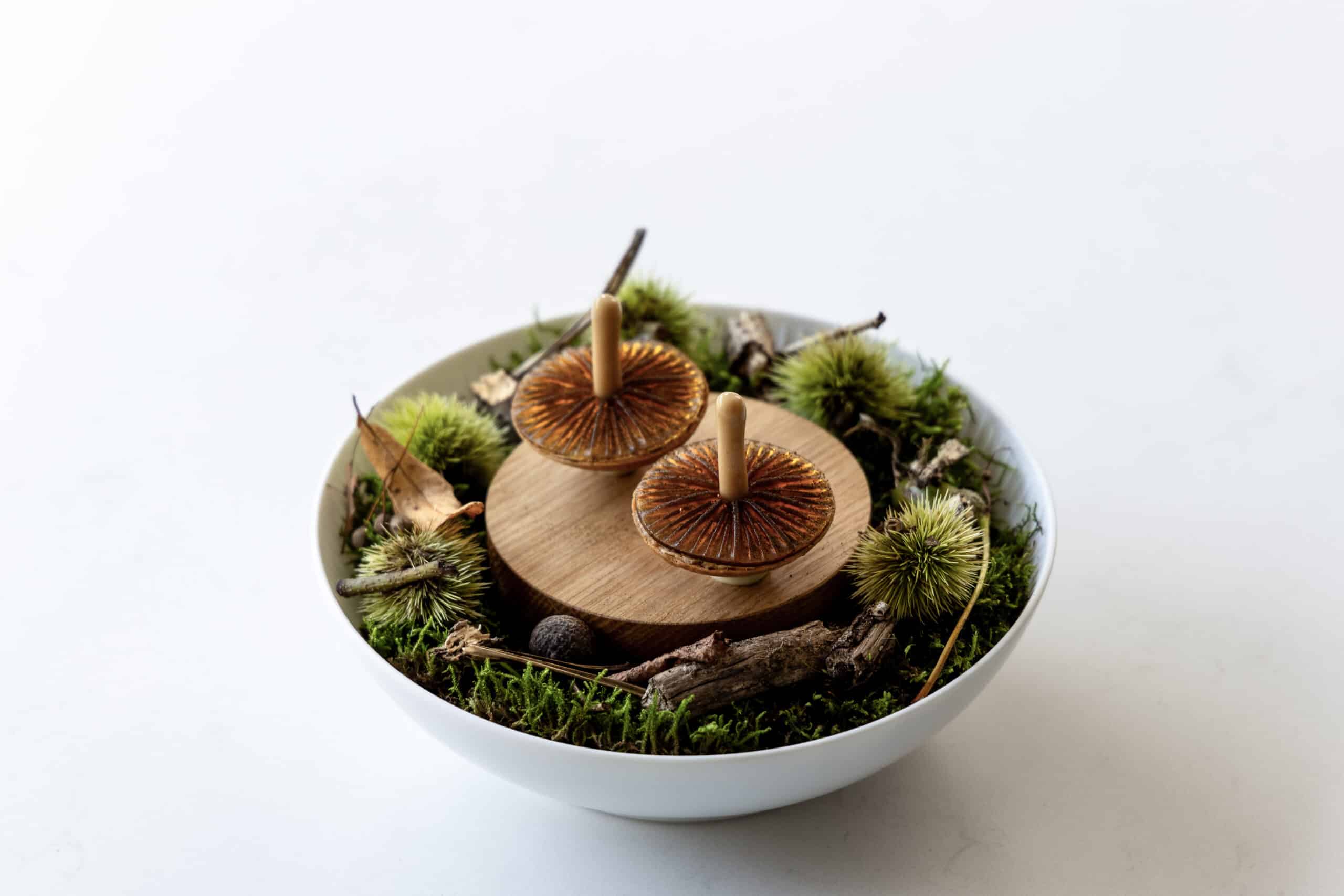 Set de tartelettes aux champignons