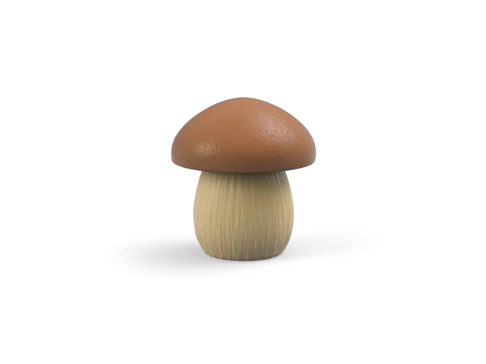 Mushroom Molds