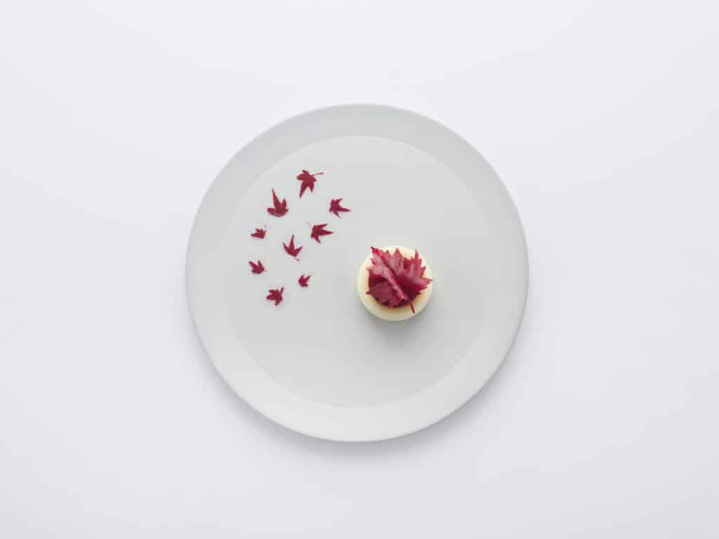 Falling Maple Silicone Plate Stencil