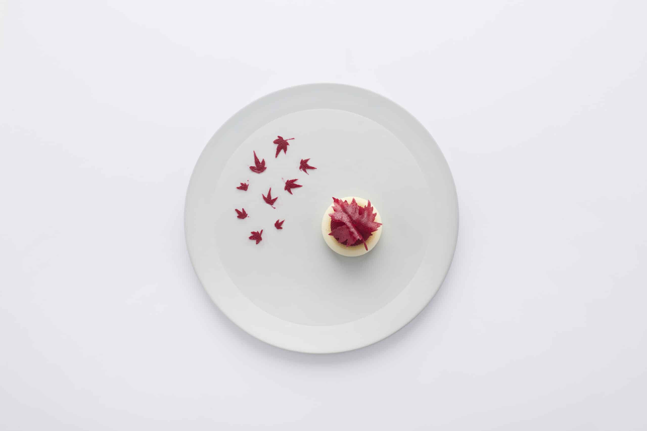 Falling Maple Silicone Plate Stencil