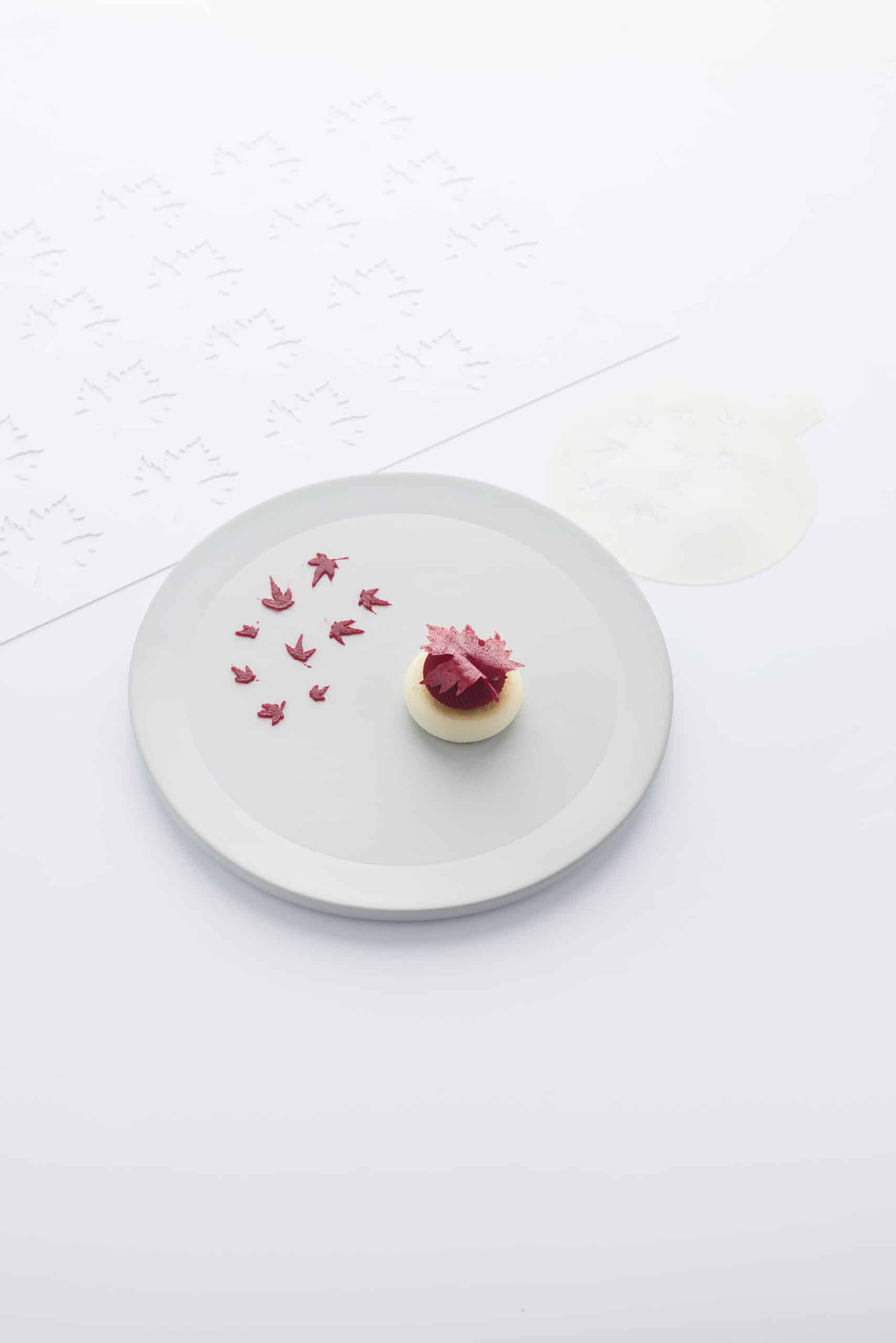 Falling Maple Silicone Plate Stencil