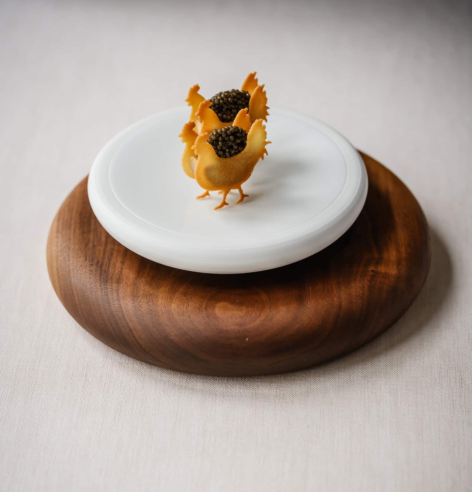 Tuille de pollo Mold