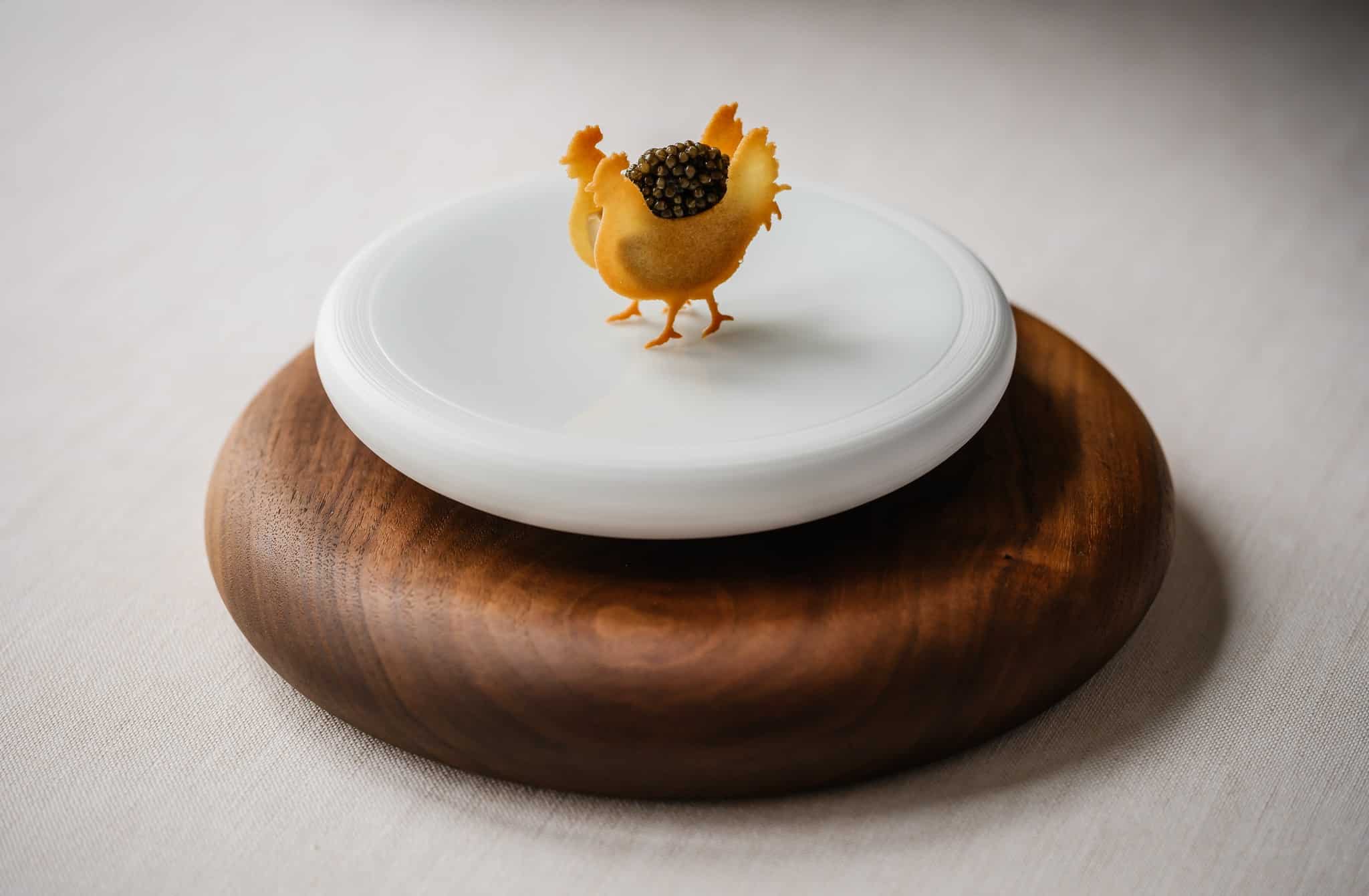 Animal Collection Molds