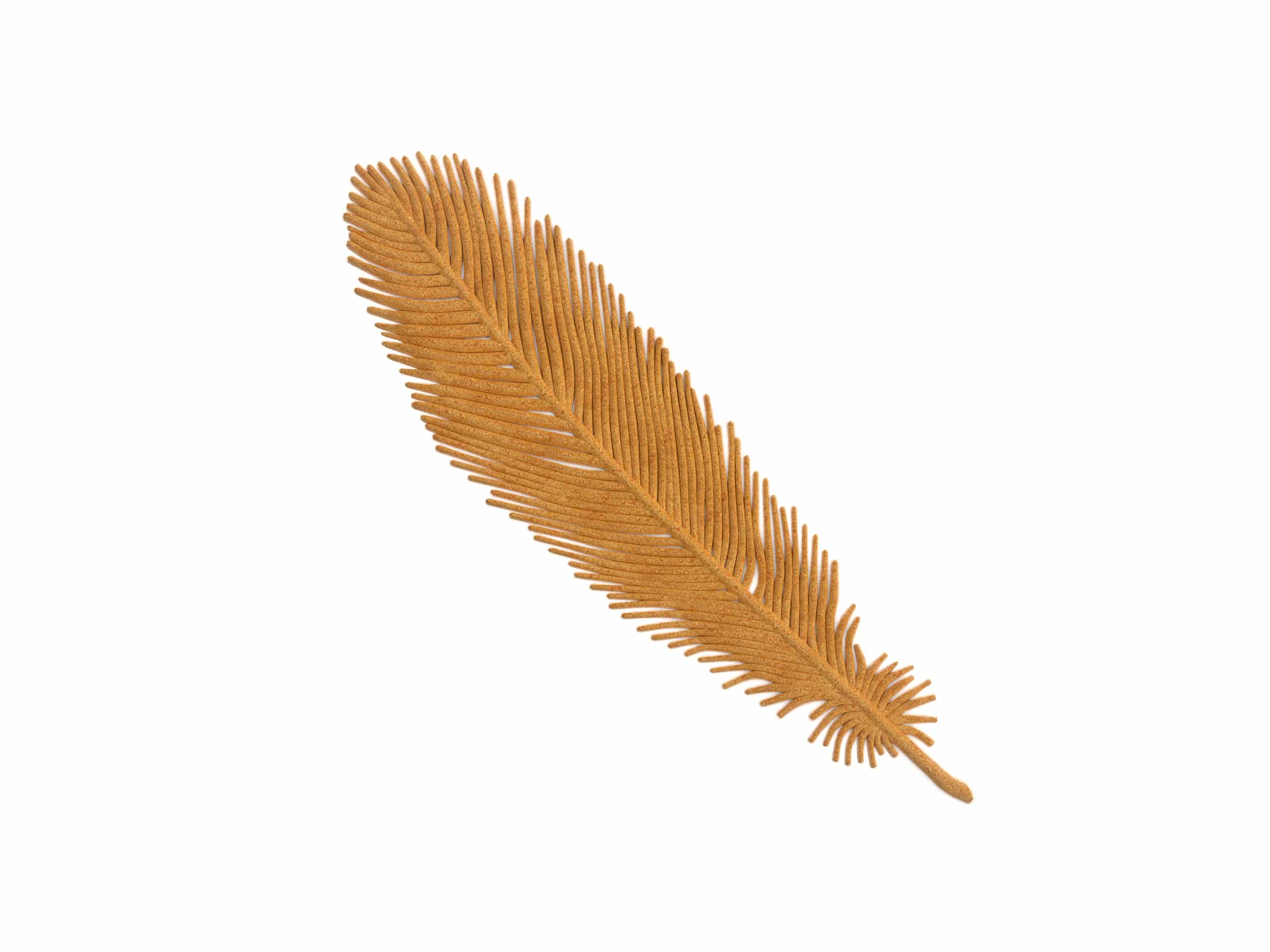 Realistic Feather Tuille Mold