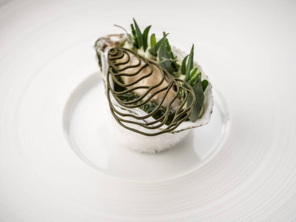 Oyster Tuille Mold Large X Restaurant Zilte***