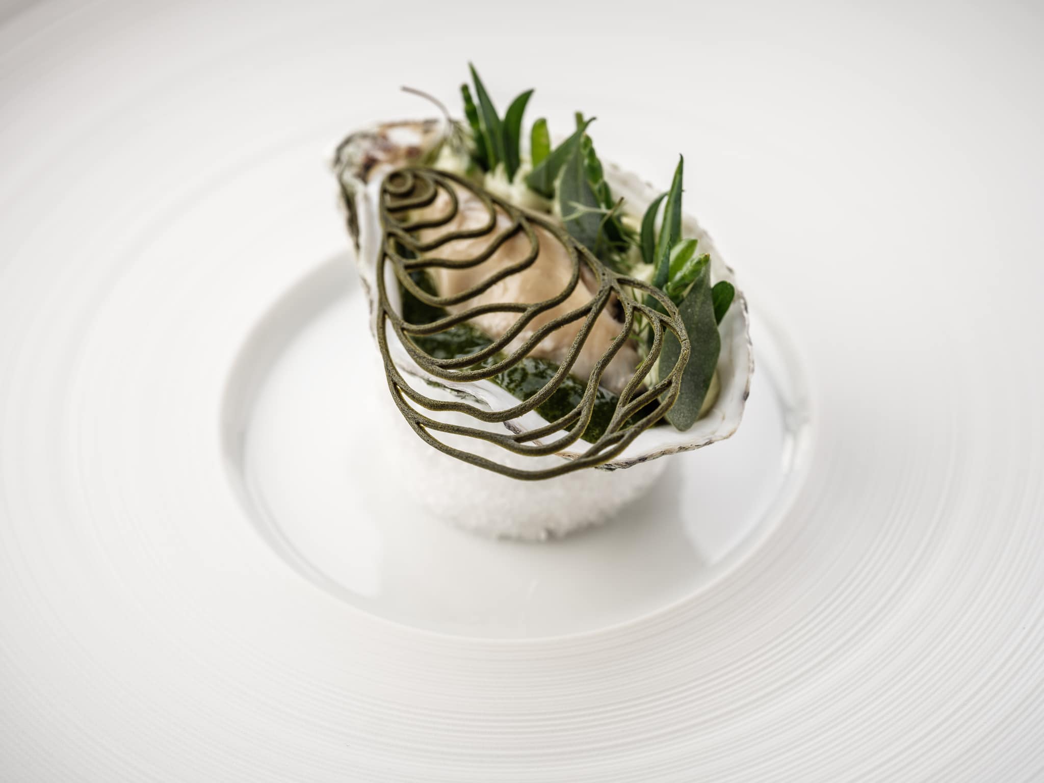 Oyster Tuille Mold Large X Restaurant Zilte***