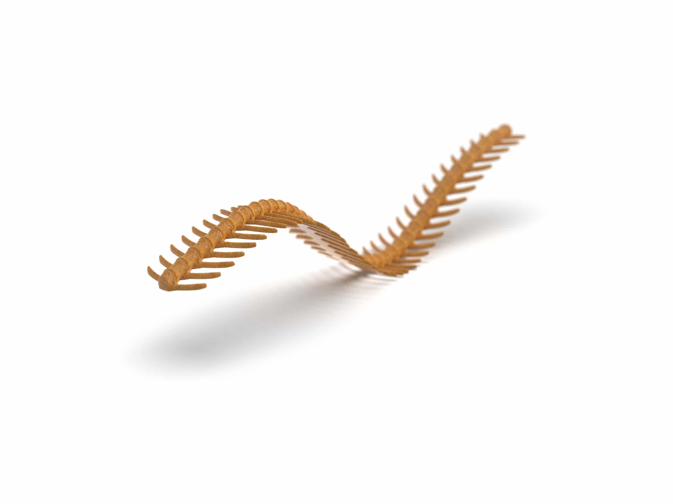 Unagi Tuille Mold