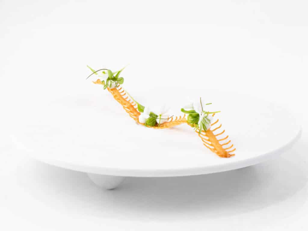Unagi Tuille Mold