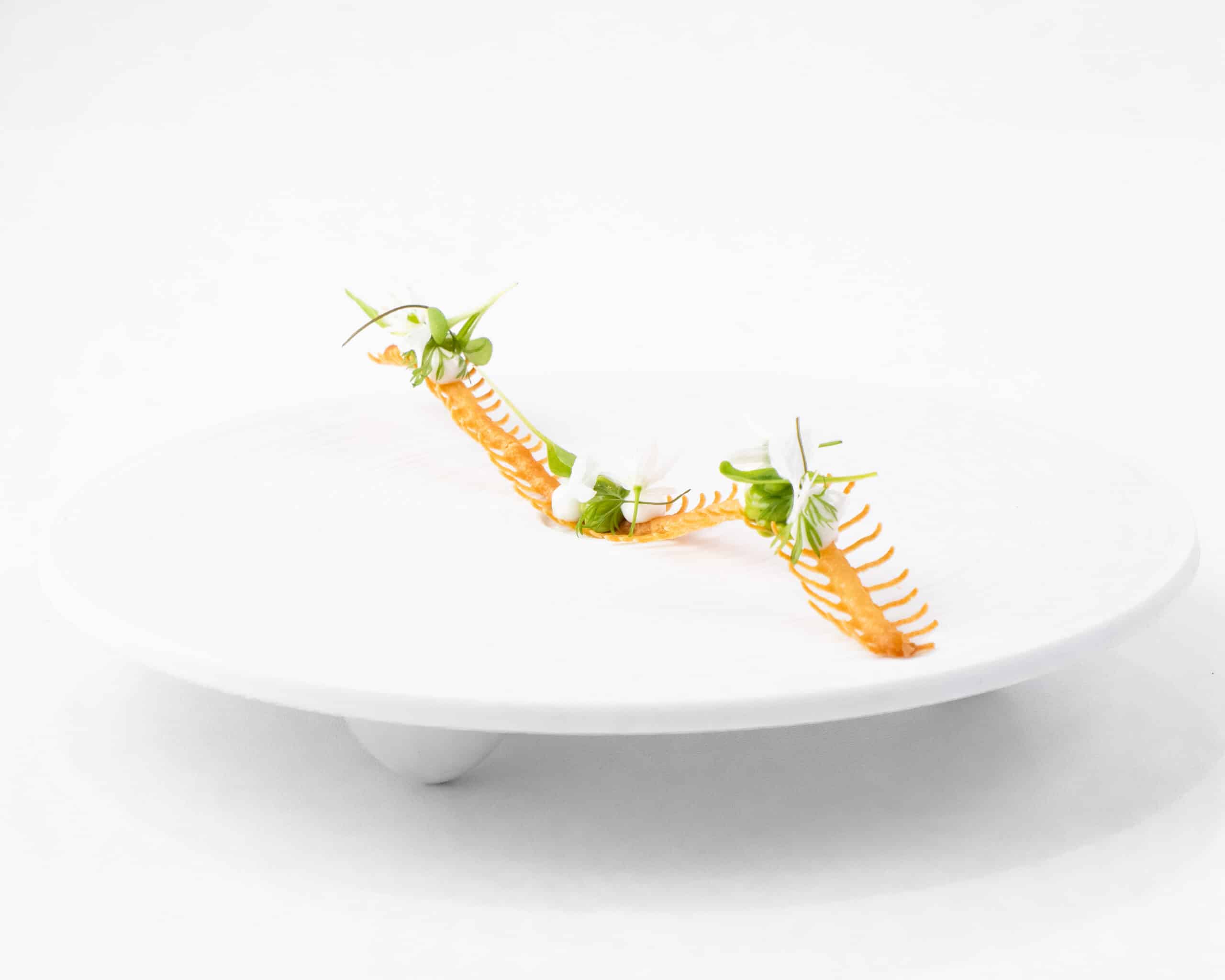 Unagi Tuille Mold