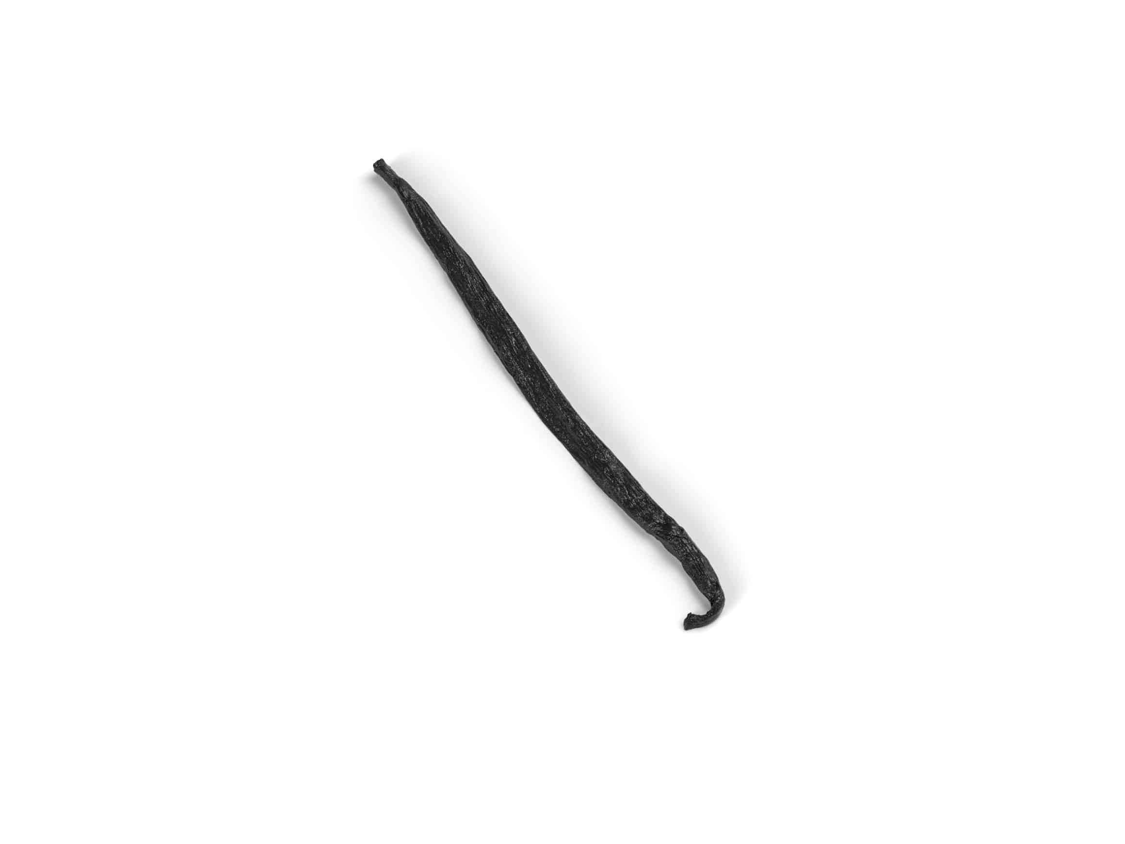 Realistische Vanille-Tuille Mold