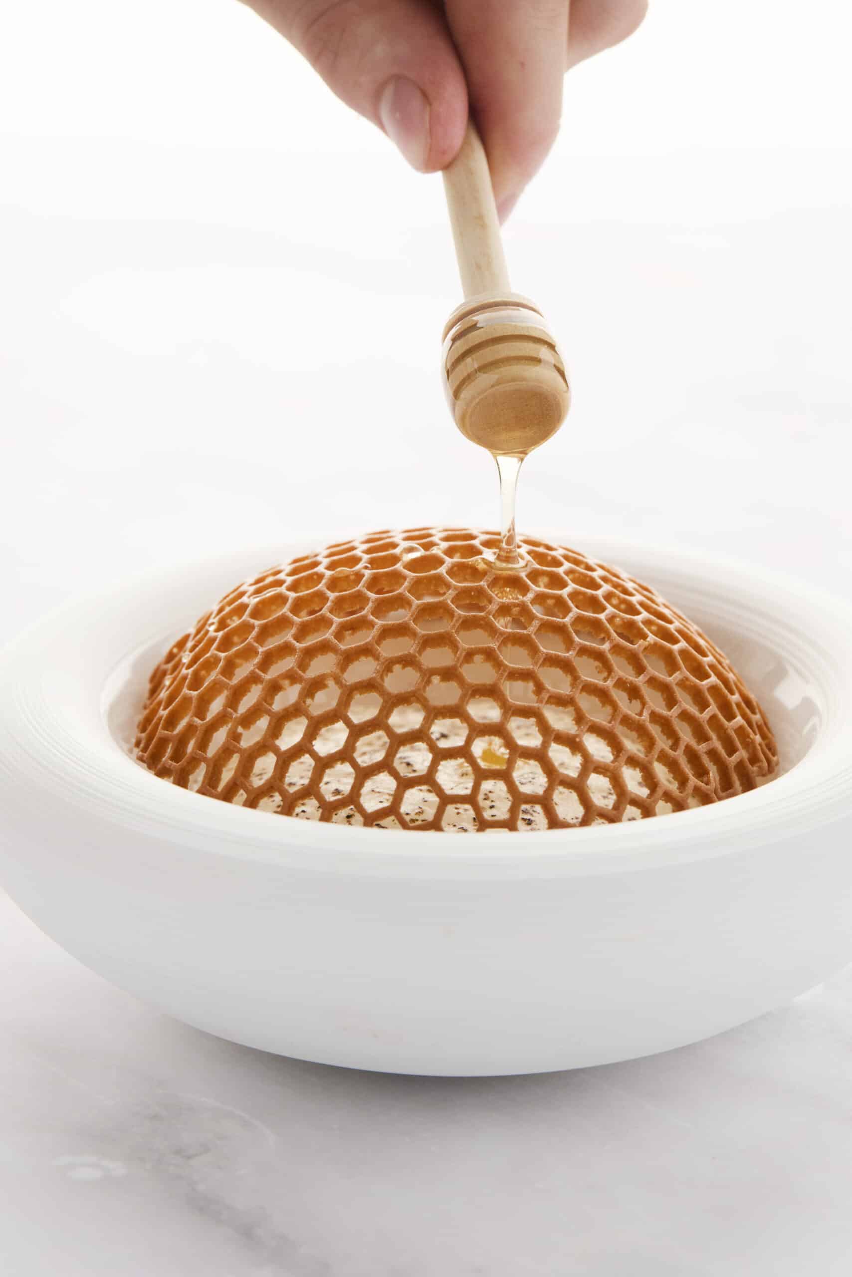Honey Grid Mold