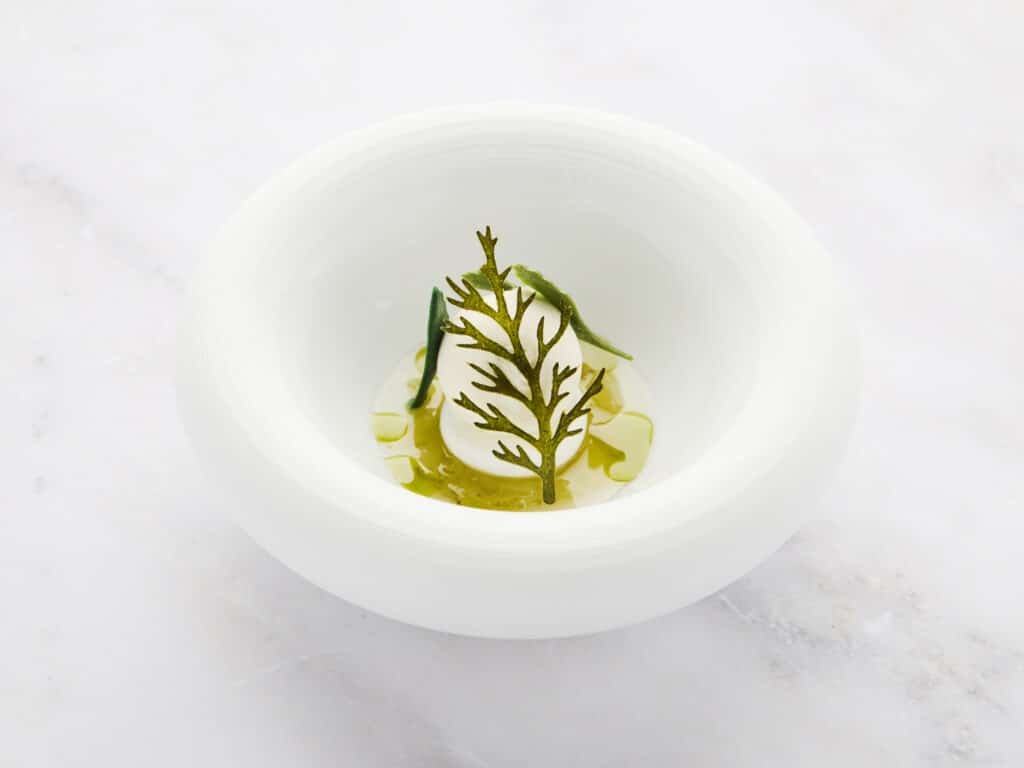Herb Stencil Case