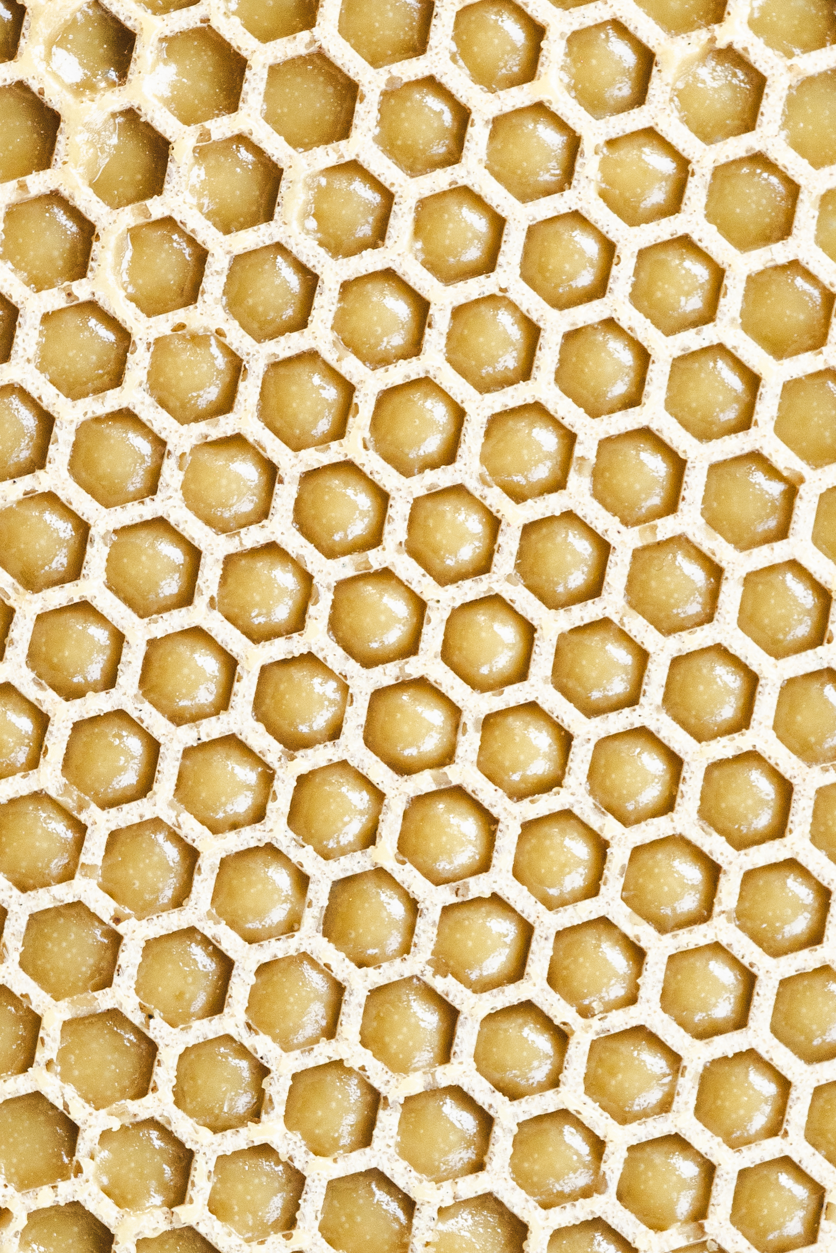 Hoja de tuille con diseño de panal de miel