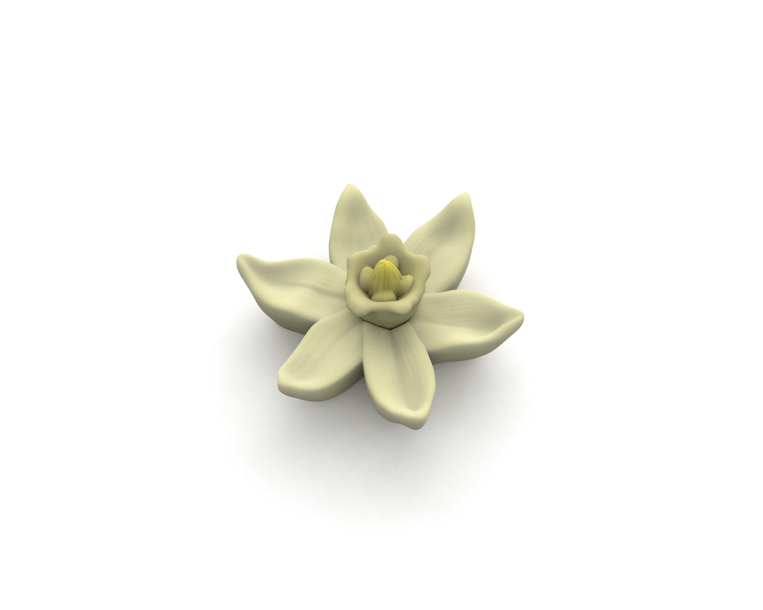 Vanilla Flower Mold-Set